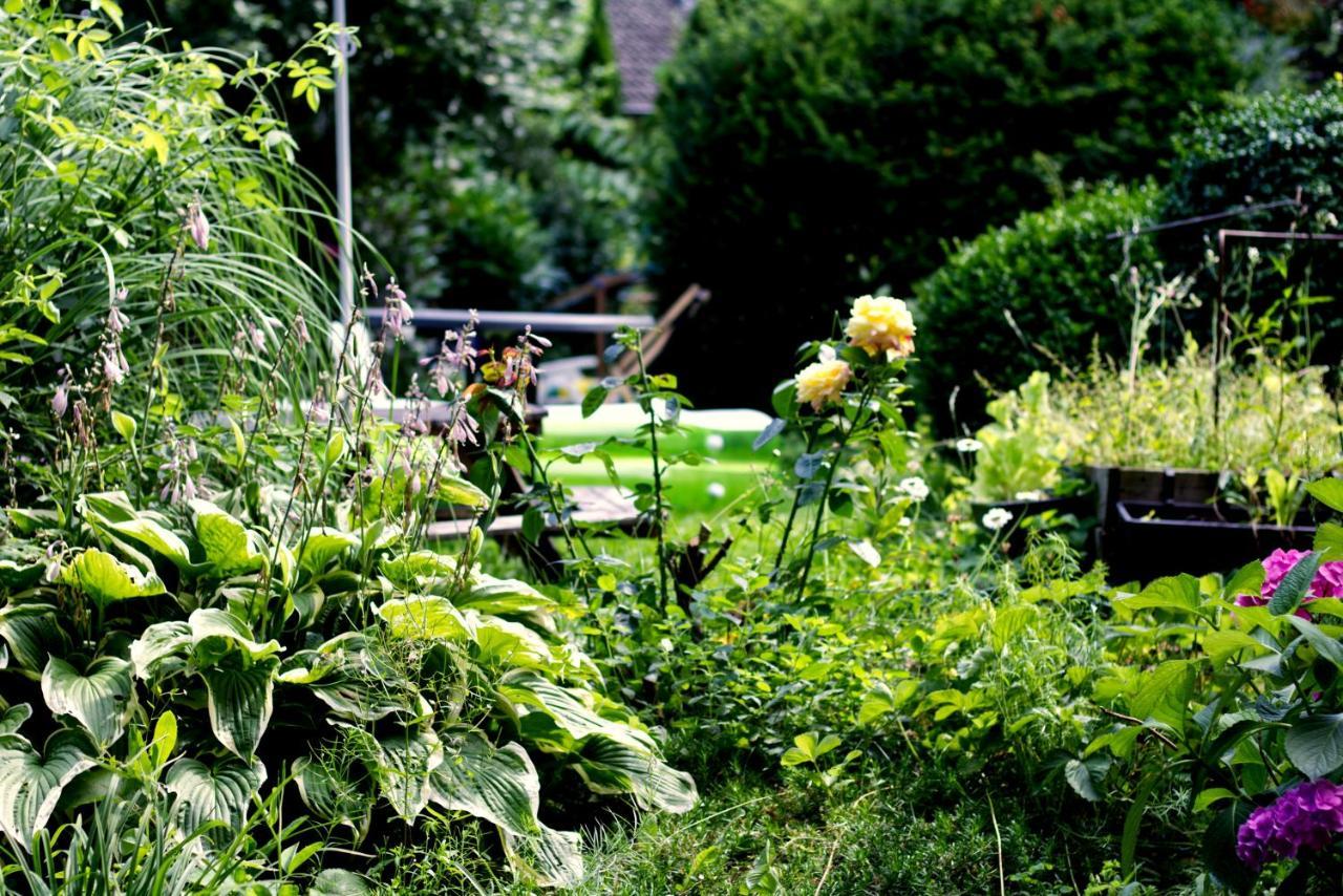 Souterrainwohnung Mit Grossem Garten Und Sauna 卡塞尔 外观 照片